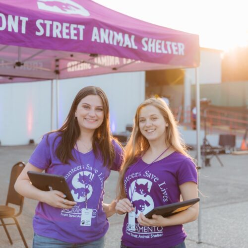 two women under a purple tent