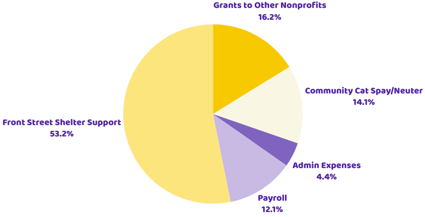 A pie chart describes expenses